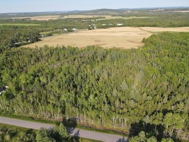 dji_fly_20250603_171842_136_174916042353