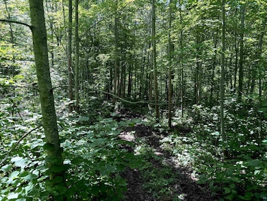 View of landscape