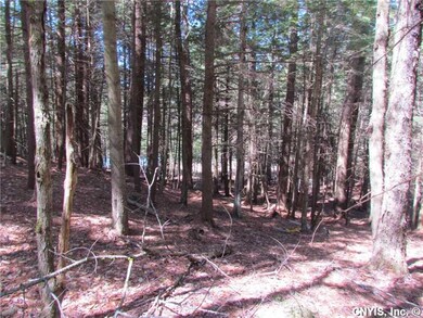 Land. View looking toward Dwyer Pond