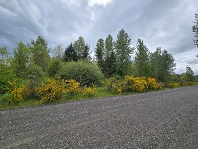 5102 Harts Lake Rd S, Roy, WA 98580 - photo 6