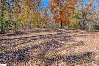 4417 State Park Rd, Greenville, SC 29609 - photo 7