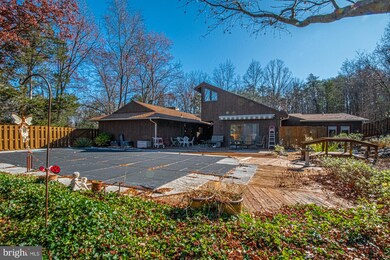 217 Messick Rd, Strasburg, VA 22657 - photo 7