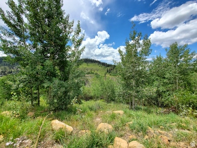 103 Brooks Canyon Rd unit GB 103, Fairview, UT 84629 - photo 3