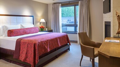 219 E Durant Ave unit A10, Aspen, CO 81611 - photo 3