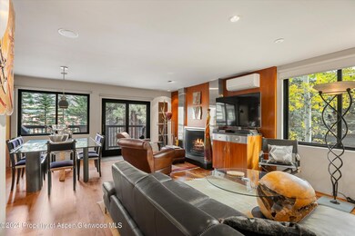 650 S Monarch St unit 9, Aspen, CO 81611 - photo 5