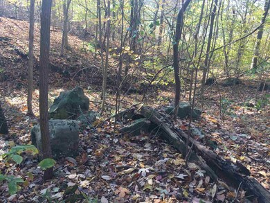 3580 S Old Clifty Rd, Bloomfield, IN 47424 - photo 6