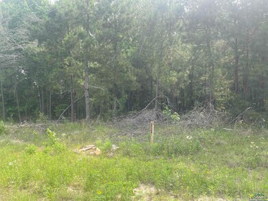 View of wooded area