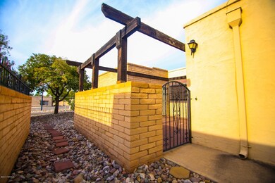 Front Gate & Side Yard