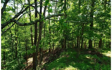 461 Cherokee Ct, Ellijay, GA 30540 - photo 2