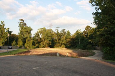 13565 Rosewood Dr unit Lot  31, Ponchatoula, LA 70454 - photo 6