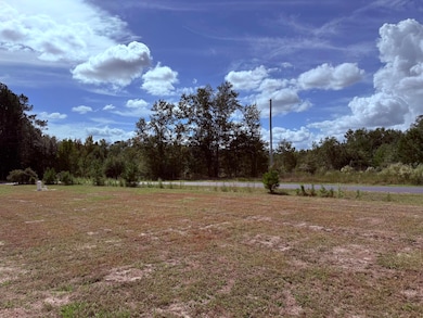 185 Thomas Rd, Dorchester, SC 29437 - photo 4