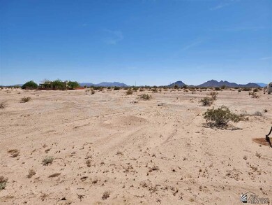 68543036 SW Columbia, Tacna, AZ 85352 - photo 2