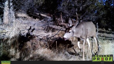 0 Shop Gulch unit 220111419, Mount Vernon, OR 97865 - photo 2