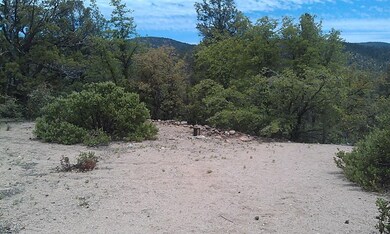 IMAG0281