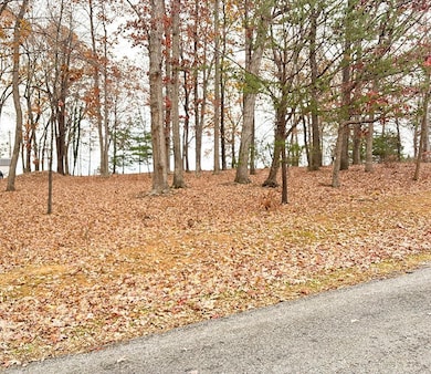 0 Ivy Woods Dr, Forest, VA 24551 - photo 3