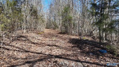 23 N George Adams Rd, Hytop, AL 35768 - photo 7