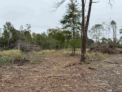 TBD Cr 314 - 15 Acres, Henderson, TX 75652 - photo 6