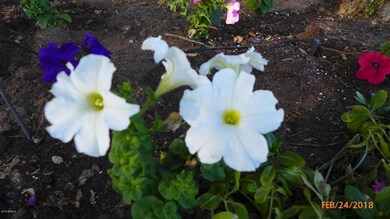 P1050468