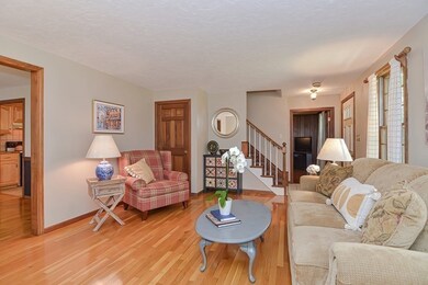 3 Pheasant Hill Rd, Walpole, MA 02081 - photo 6