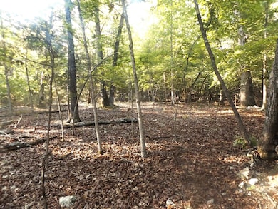 LOT 16 Antler Pass, Henderson, AR 72544 - photo 4