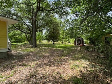 Side yard and back yard shed IMG_1799