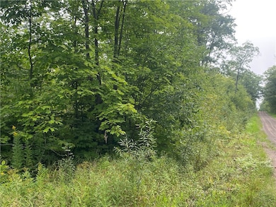 ON W Zettel Rd, Exeland, WI 54835 - photo 5