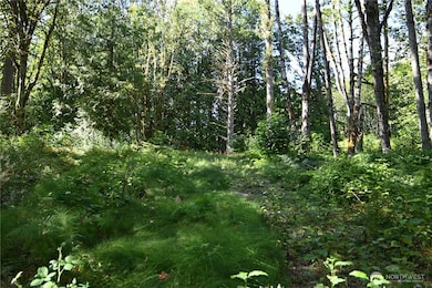 0 U S Highway 2, Baring, WA 98224 - photo 6