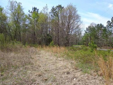 3055 Burney Rd, Asheboro, NC 27205 - photo 2