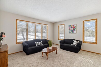 8875 Dallas Ln N, Maple Grove, MN 55369 - photo 5