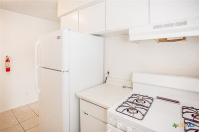 1239 N Lbj Dr unit F, San Marcos, TX 78666 - photo 4