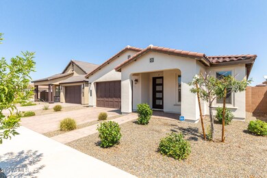 0004-03 - Timberline