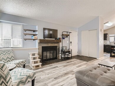 4821 S Genoa St, Centennial, CO 80015 - photo 4