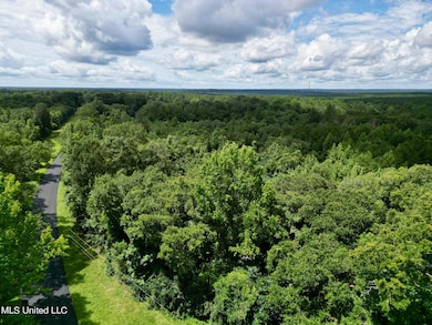 Tract 2 Gumpond Beall Rd, Lumberton, MS 39455 - photo 2