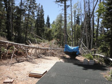 840 W Shale Cir unit ZVME Un E Lot 135, Duck Creek Village, UT 84762 - photo 4