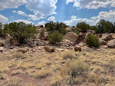 95 Cliff Thorn Rd, Quemado, NM 87829 - photo 2