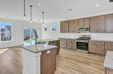 612 Thunder Gulch Ave, Lexington, SC 29073 - photo 7