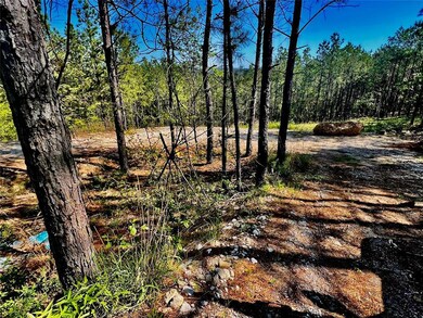 View of local wilderness
