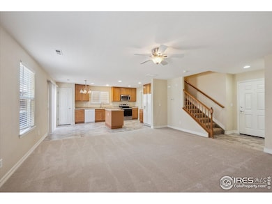 10691 Durango Place, Longmont, CO 80504 - photo 5