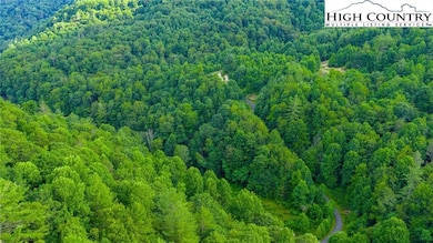 Tbd unit 8 Big Laurel Road, Creston, NC 28615 - photo 5