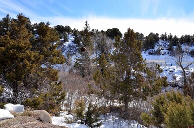 20602 Surface Creek Rd, Cedaredge, CO 81413 - photo 2