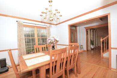 2731 Fairhauser Rd, Naperville, IL 60564 - photo 5