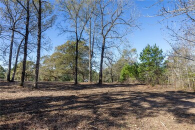 5901 Highline Dr, Montgomery, TX 77316 - photo 4