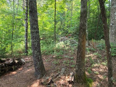 4242 Highway 197, Clarkesville, GA 30523 - photo 7