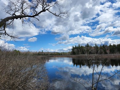 Webb Brook 1