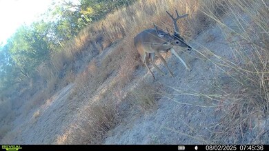 0 Cameron Ln, Fowlerton, TX 78021 - photo 7