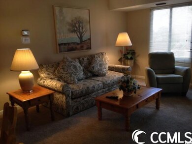 400 20th Ave N unit 205 The Atlant, Myrtle Beach, SC 29577 - photo 7