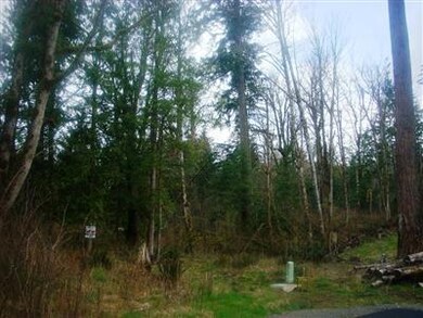 391 307th Ave SE, Enumclaw, WA 98022 - photo 3