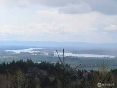 903 Confer Rd, Kalama, WA 98625 - photo 7