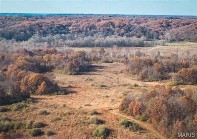 TBD SW 875 St, Kane Township, IL 62031 - photo 3