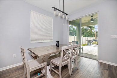 16720 Mooner Plank Cir, Wimauma, FL 33598 - photo 7